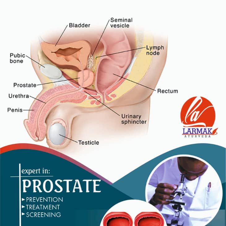 Larmak Healthcare & Prostate Centre